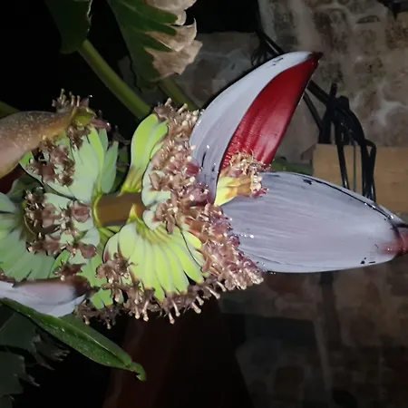 Hadrian Gate Antalya