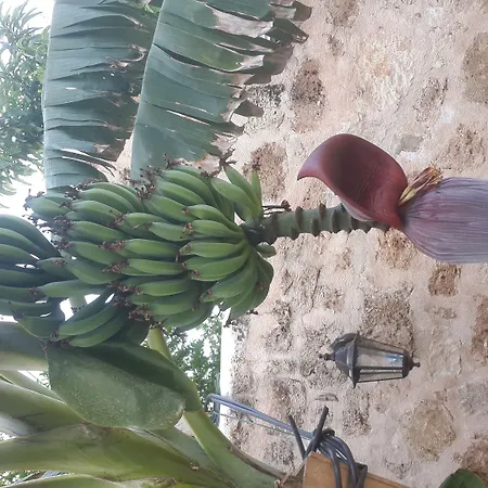 Hadrian Gate 3* Antalya