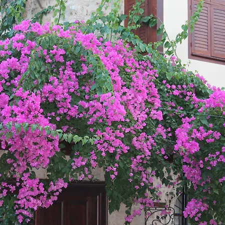 하드리안 게이트 호텔 안탈리아