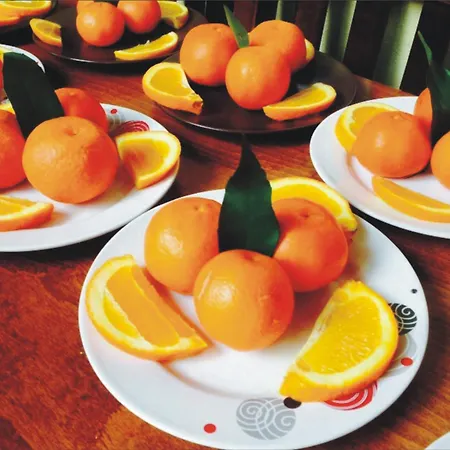 ハドリアヌス ゲート ホテル アンタルヤ